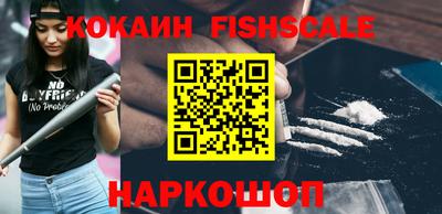 крисы Кулебаки