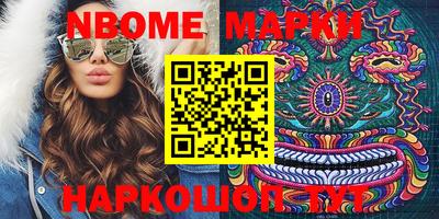 крисы Кулебаки