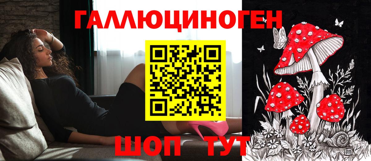 Карачаевск  Галлюциногенные грибы Psilocybine cubensis  Вход с VPN 